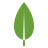 MongoDB logo
